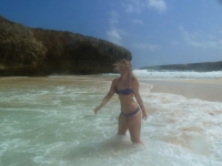 Aruba 2013