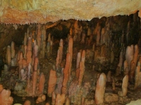 Harrisonova jeskyně