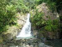 Vodopády La Mina falls uprostřed pralesa
